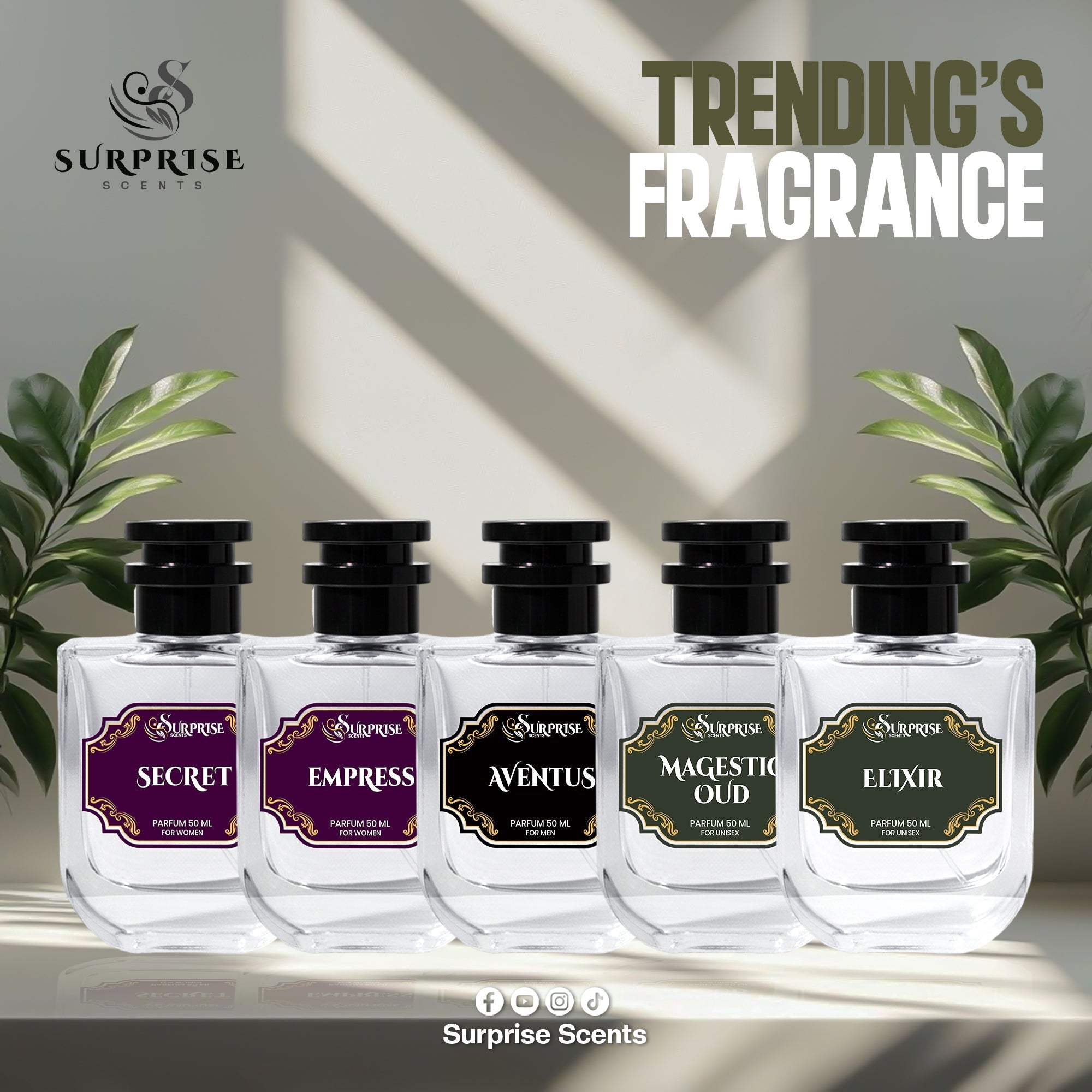 Trending Fragrances - Surprise Scents